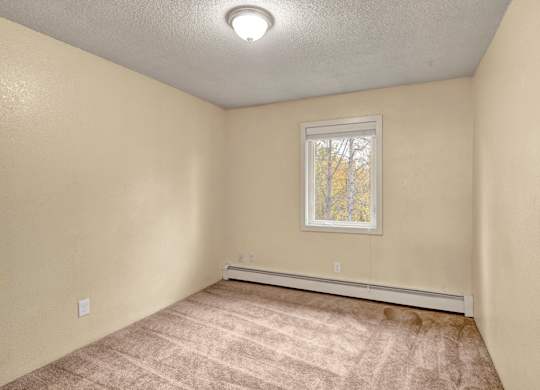 An open bedroom space here at Hillside Chalet with a centered window showcasing the autumn trees, and a soft and cozy carpeted flooring.