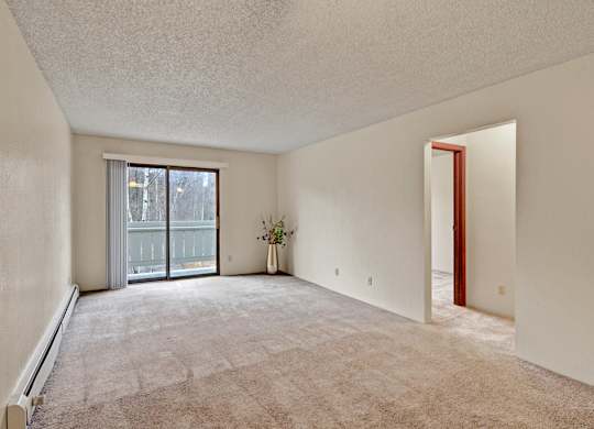 A spacious, empty living room here at Park Plaza with plush beige carpeting and soft off-white walls, featuring a sliding glass door with vertical blinds that opens to a private balcony and fills the room with natural light.