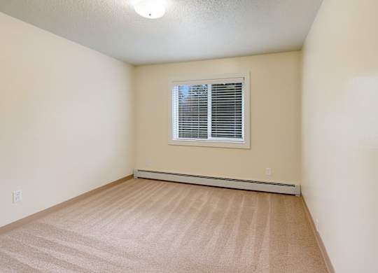 A room with a carpeted floor and a window with blinds.