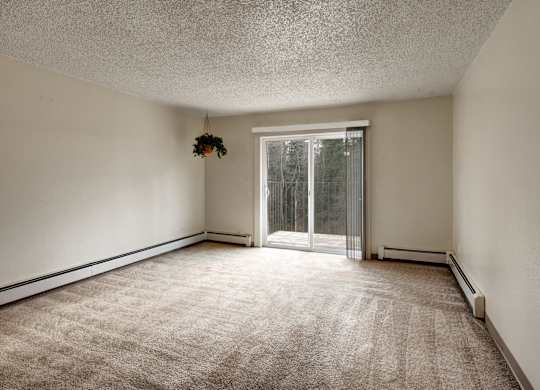A room with a carpeted floor and a window with a view of trees outside.