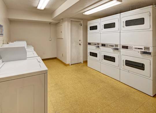 A row of white ovens are lined up in a room.