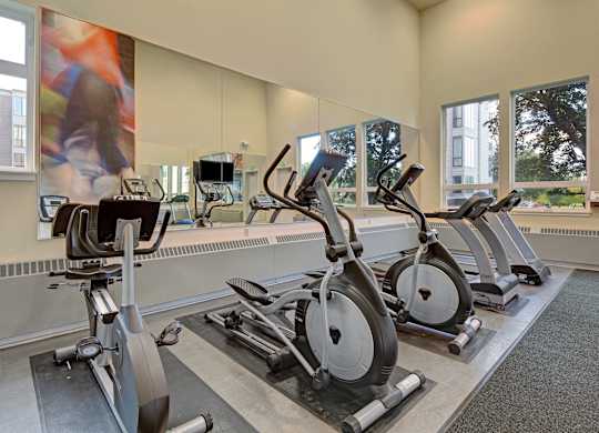 A bright fitness room at The Alpine featuring treadmills, ellipticals, and a stationary bike lined up before a full wall mirror. Large windows bring in natural light and offer views of the community grounds, while high ceilings and simple flooring create an open, airy workout environment.