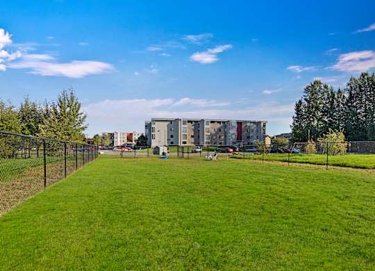 Large fenced dog park at The Alpine with expansive green lawn, surrounded by black chain-link fencing under a bright blue sky. Community buildings and parked cars are visible in the distance, along with mature trees lining the edge of the property, creating a spacious outdoor area for pets to play and exercise.