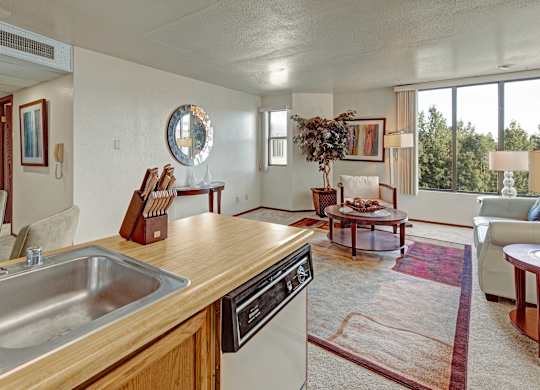 An open living space at The Alpine viewed from the kitchen, featuring a double sink and countertop leading into a bright carpeted living room. A sofa and chair sit around a coffee table on a colorful rug, with large windows bringing in natural light and treetop views.