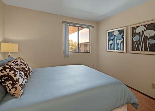 A peaceful bedroom at The Alpine with a neatly made bed in soft blue bedding and patterned pillows. A window with vertical blinds lets in natural light and offers outdoor views. Framed floral artwork decorates the wall, adding a calm and stylish touch to the space.