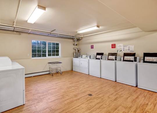 A spacious laundry room here at Timber Ridge with multiple washers and dryers, bright overhead lighting, and wood-style flooring, featuring a large window for natural light and a rolling cart for convenience.