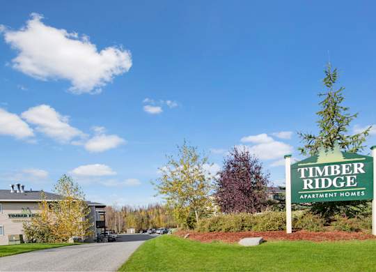 A bright community entrance view here at Timber Ridge featuring the Timber Ridge Apartment Homes sign surrounded by green landscaping, with a paved driveway leading into the property under a clear blue sky.