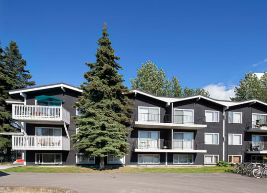 Three-story apartment building with dark siding, white balconies, and a teal umbrella. Surrounded by evergreens and blue sky. Bicycles are parked nearby. The Alaskan Apartments.