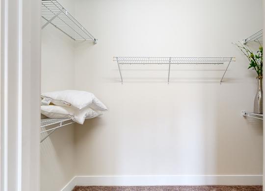A white closet with a shelf and a plant.