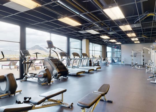 a large fitness room with treadmills and other exercise equipment