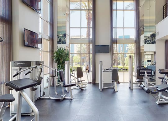 Bright, modern gym here at Artisan at Main Street Metro Apartments with large windows, featuring various exercise machines like leg presses and cable stations. Neutral tones create a calm atmosphere.