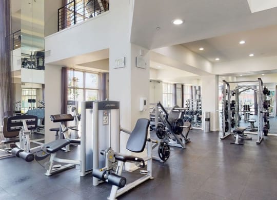 Modern gym here at Artisan at Main Street Metro Apartments with weight machines, free weights, and a Smith machine on a dark floor. Bright lighting and large mirrors create an airy, spacious feel.