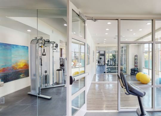 Bright gym here at Artisan at Main Street Metro Apartments with glass walls, featuring an exercise bike, colorful yoga balls, weight machines, and art on the walls. The atmosphere is modern and inviting.