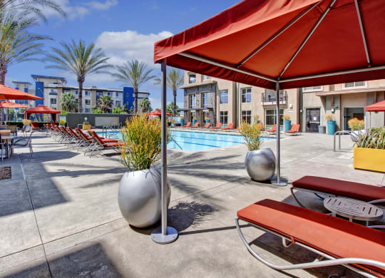 Outdoor pool area here at Artisan at Main Street Metro Apartments with red lounge chairs and umbrellas, surrounded by palm trees and modern buildings under a clear blue sky. Relaxing ambiance.