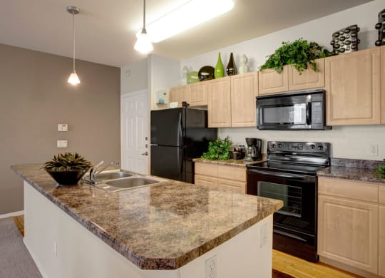 Modern kitchen here at Aspire at Pinnacle Peak Apartments with light wood cabinets and dark countertops. Black appliances include a fridge and oven. Plants and decor on top of cabinets add greenery.