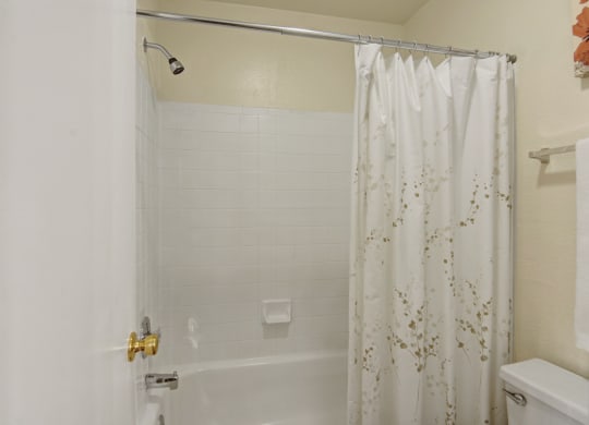 Bathroom tub and shower