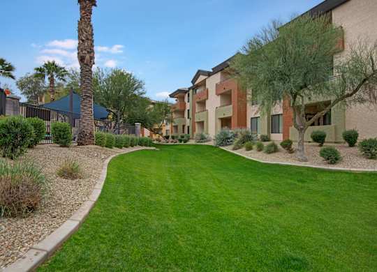 A grassy area in front of a building with a palm tree.
