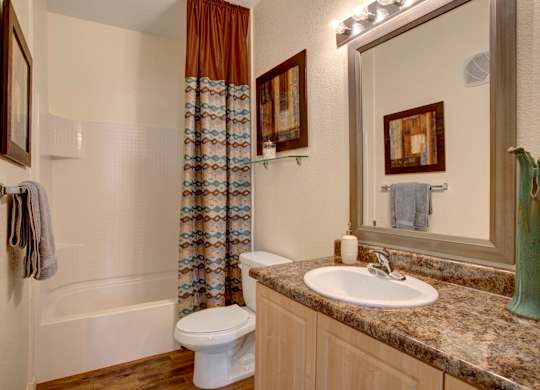 A bathroom with a toilet, sink, and shower.