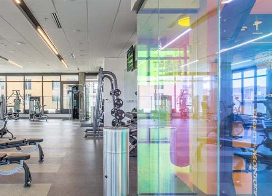A modern fitness studio here at JOY on 4th featuring expansive floor-to-ceiling windows with city views, cardio equipment including treadmills and stationary bikes, strength training machines, free weights, and adjustable benches. Sleek rubber flooring, mirrored walls, and vibrant glass accents create an energizing, light-filled space designed for dynamic workouts.