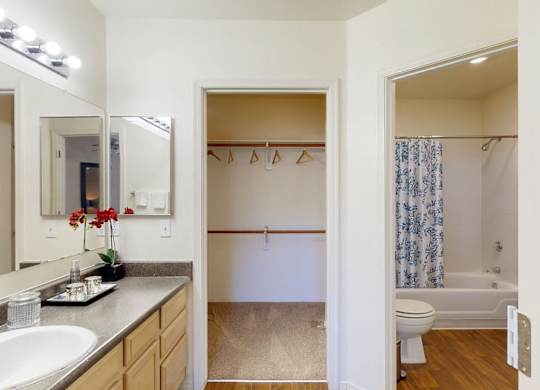 A bright bathroom here at Mirador featuring a spacious vanity with light wood cabinetry, a large mirror with overhead lighting, and a smooth countertop with integrated sink. An open walk-in closet offers built-in shelving and hanging space, while the adjoining bath includes a full tub and shower with a patterned curtain and wood-style flooring.