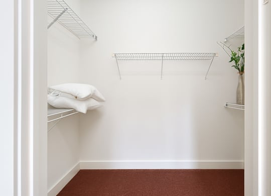 A white closet with a red carpet and a plant on the side.
