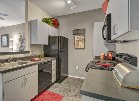 Modern kitchen here at Bolero Apartments with gray cabinets, stainless steel appliances, and black fridge. Decor includes wine glasses, plants, and floral artwork, creating a cozy atmosphere.