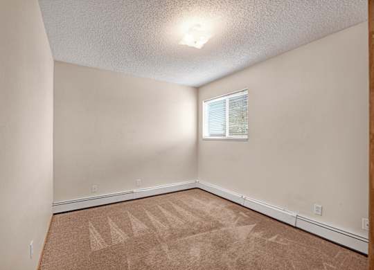 A bright, empty bedroom here at Aspen Terrace with beige carpet, soft neutral walls, and a window with blinds that brings in natural light. A simple overhead light and clean layout create a cozy, move-in-ready feel.