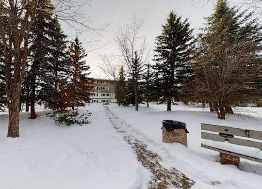 A peaceful outdoor courtyard here at Cambridge West with a snow-lined walking path, mature trees, and a bench area, creating a quiet community setting with open green space.