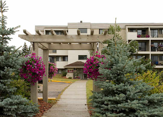 Here at Cedar Gardens, a charming pergola entryway with bright purple hanging flower baskets leads to the apartment building, surrounded by lush evergreen trees, green shrubs, and a clean walkway up to the front entrance.