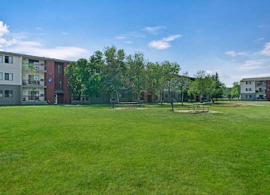Madison Park Apartment Homes buildings surround a lush green lawn with picnic tables and trees under a clear blue sky, conveying a serene residential atmosphere.