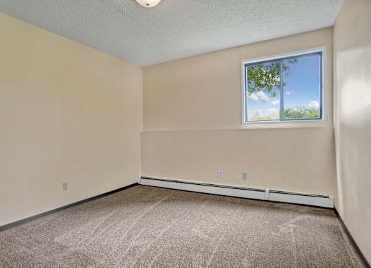 A bright bedroom here at Ventana featuring soft neutral walls, plush carpet flooring, a baseboard heater along the wall, and a large window that fills the space with natural light and calming outdoor views, creating a comfortable and versatile room for rest or work.