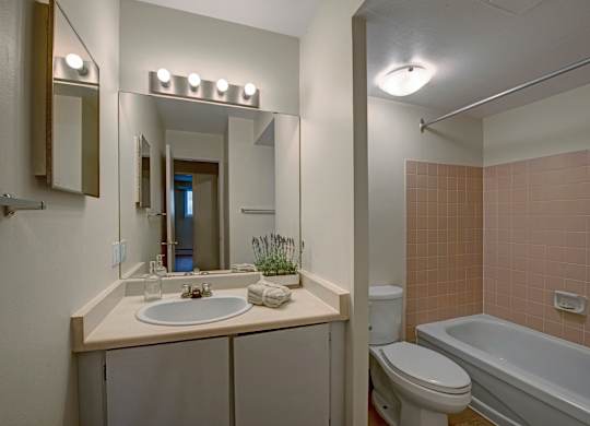 A clean, simple bathroom here at Wyndham Crossing with a wide vanity countertop, an oval sink, and a large mirror with bright overhead lighting. A toilet and tub-shower combo with soft pink tile surrounds complete the space, while a small plant and neatly folded towels add a fresh touch.