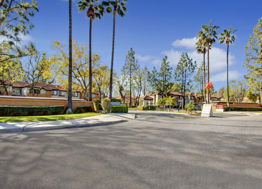 Residential street near Castlepark Apartment Homes lined with tall palm trees and lush greenery under a clear blue sky. Houses with tiled roofs are partially visible. Quiet, sunny atmosphere.