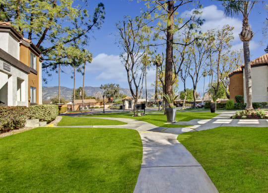 Sunny courtyard here at Castlepark Apartment Homes with lush green lawns, winding paths, and tall trees. Surrounded by stucco buildings with terracotta roofs, evoking a calm, suburban feel.