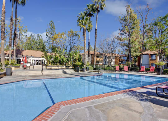 Sunny outdoor pool area here at Castlepark Apartment Homes with clear blue water, surrounded by tall palm trees and red lounge chairs. Buildings in the background with a relaxed vibe.
