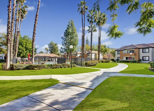 Spacious Castlepark Apartment Homes complex courtyard with green grass, tall palm trees, and a pool area. Sunlit walkways create a serene and inviting atmosphere.