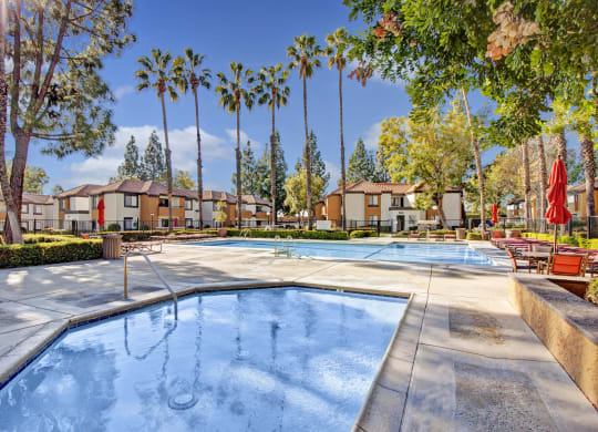 A tranquil swimming pool area here at Castlepark Apartment Homes with a jacuzzi in the foreground, surrounded by tall palm trees and apartment buildings under a clear, sunny sky.