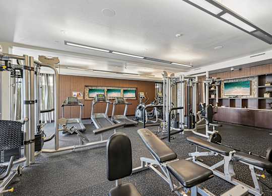 A gym with a variety of equipment including treadmills, weight machines, and benches.