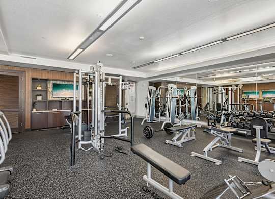 A gym with a variety of equipment including treadmills, weights, and benches.