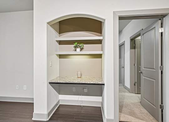 A kitchen with a countertop and a potted plant.