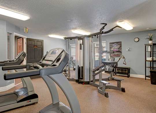 A modern fitness center here at Windtree featuring treadmills, strength training machines, and free-weight equipment arranged in an open layout with carpeted flooring, bright overhead lighting, light gray walls, wall mirrors, and large windows that create a clean, functional workout space.