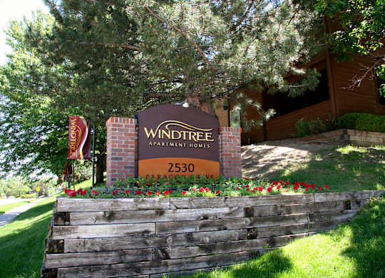 A welcoming exterior monument sign here at Windtree featuring a brick-framed Windtree Apartment Homes sign with the address displayed, surrounded by red flowers, green grass, and mature trees, set on a landscaped slope with the community buildings visible in the background under bright natural daylight.