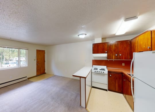 Cozy apartment interior here at Country Lane Apartments with carpeted living area, large window, and compact kitchen. Kitchen features wood cabinets, white appliances, and orange accents.