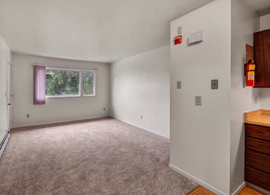 Living room here at Driftwood Apartments with beige carpet, white walls, and a large window showing green trees. A door is on the left, with a fire extinguisher mounted near wooden cabinets.