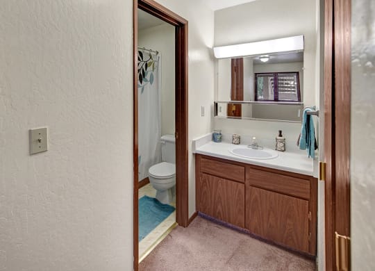 Small bathroom here at Driftwood Apartments with a wood vanity, white countertop, and large mirror. Blue bath mat and towels add color. Soft lighting creates a cozy feel.
