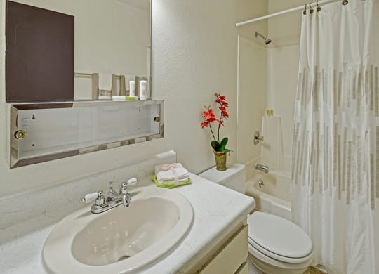 Bright bathroom here at The Glen Apartments with a white countertop, sink, and faucet. Red flowers in a pot add color near a toilet. A shower with a patterned curtain is visible.