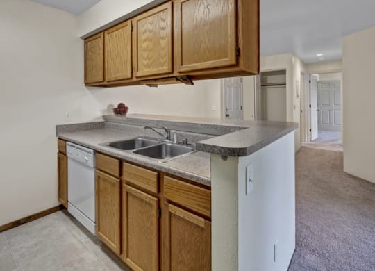Simple kitchen here at La Maisonnette Apartments with wooden cabinets and light gray countertops, featuring a double sink and dishwasher. Neutral tones create a clean, spacious feel.
