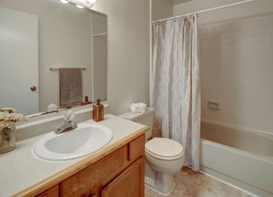 The Legacy Apartments - Bathroom