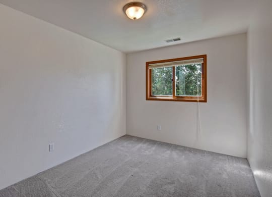 Empty bedroom here at Legacy West Apartments with light gray carpet and white walls. A single window with wooden trim lets in natural light, creating a calm and simple ambiance.