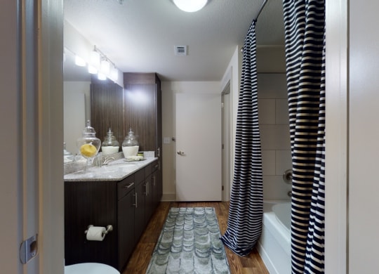 Lofts at Watters Creek bathroom